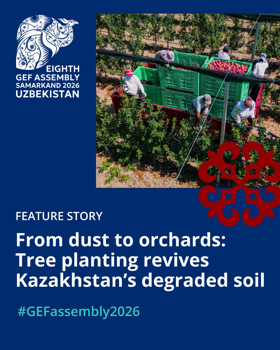 Global Environment Facility (GEF) tweet media