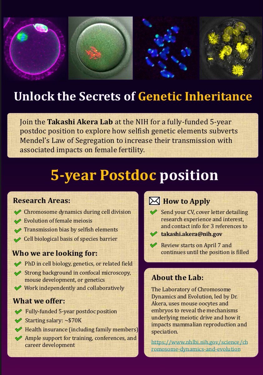 Takashi Akera tweet media