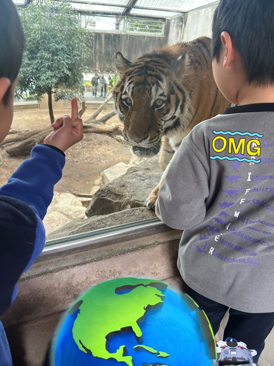 Rusty04250725's tweet photo. ちょっと聞いて
今日
娘連れて動物園行ったの。
そして虎さん見てたら
近くまで来てくれて迫力ある姿で見れて娘と
大喜び。
でもね
見に来てた違う子供がね
虎さんにずっと中指たてて
写真にも動画にもうつって
なんか思い出が汚された気分。
その子の親はなにも言わない。 https://t.co/5iqay9XrFs
