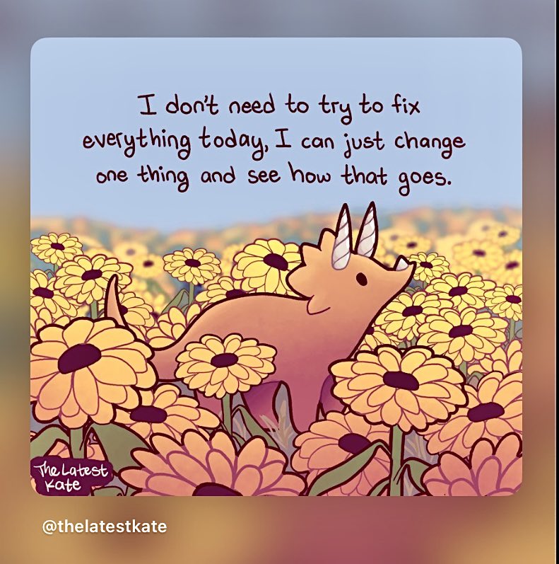 Lisa Miranda tweet media