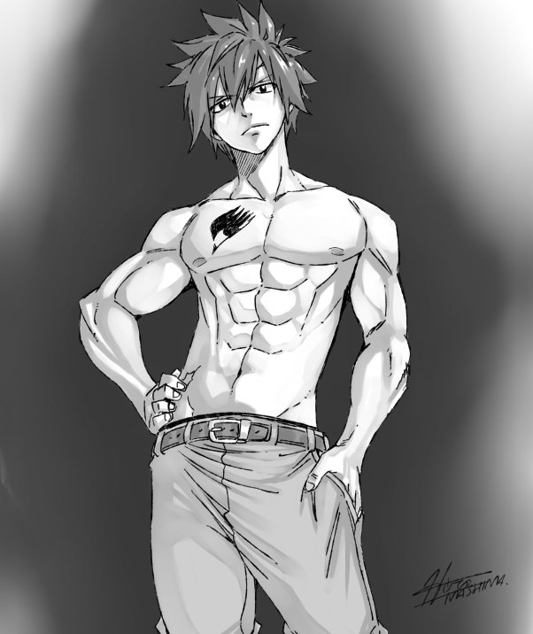 Fairy Tail Perfect Shots tweet media