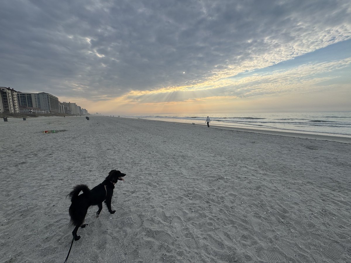 Izzy Post Ruhland tweet media