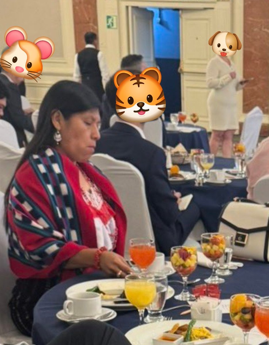 edgar vasco tweet media