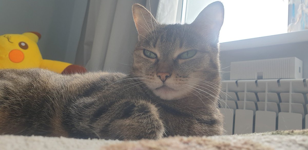 Ньургун tweet media