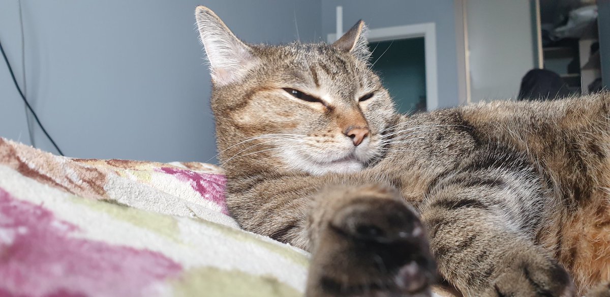 Ньургун tweet media