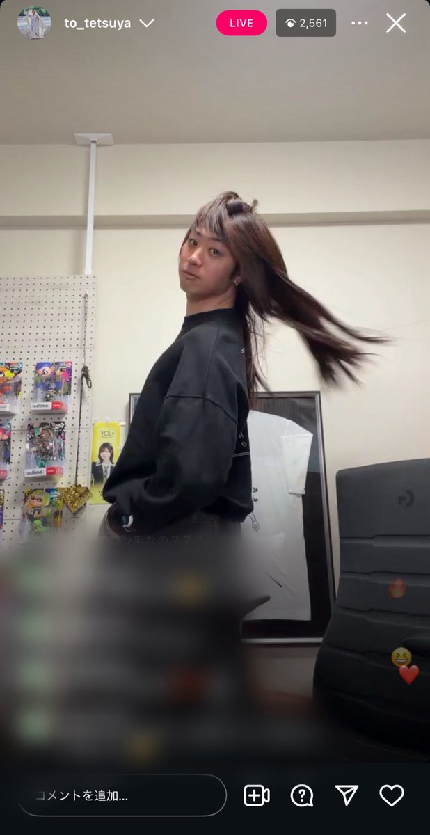 ごろり(2歳) tweet media
