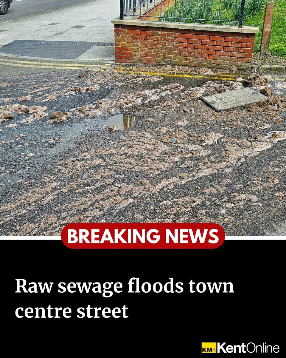 Candy Gregory 💙 tweet media