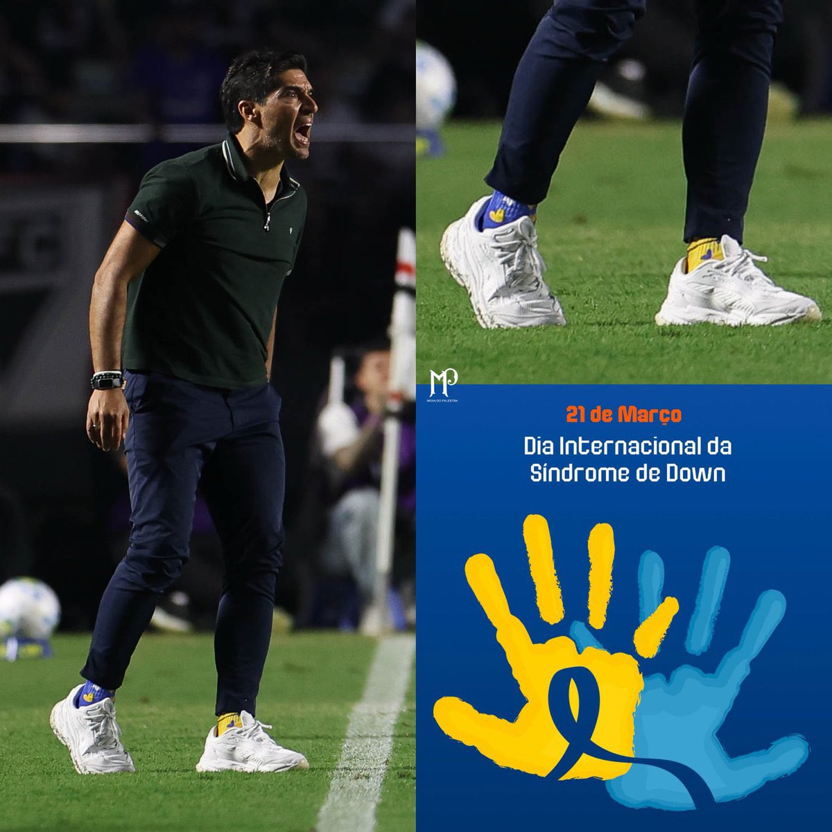 FABRICIO SALOMÃO tweet media