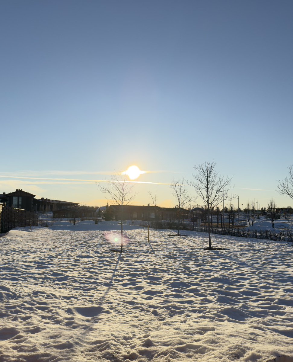 🇷🇺Елена♥️Россия🇷🇺 tweet media