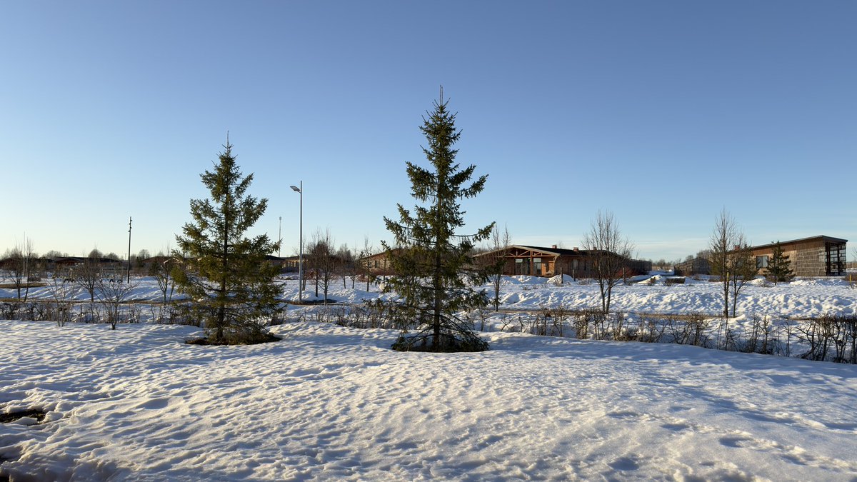 🇷🇺Елена♥️Россия🇷🇺 tweet media