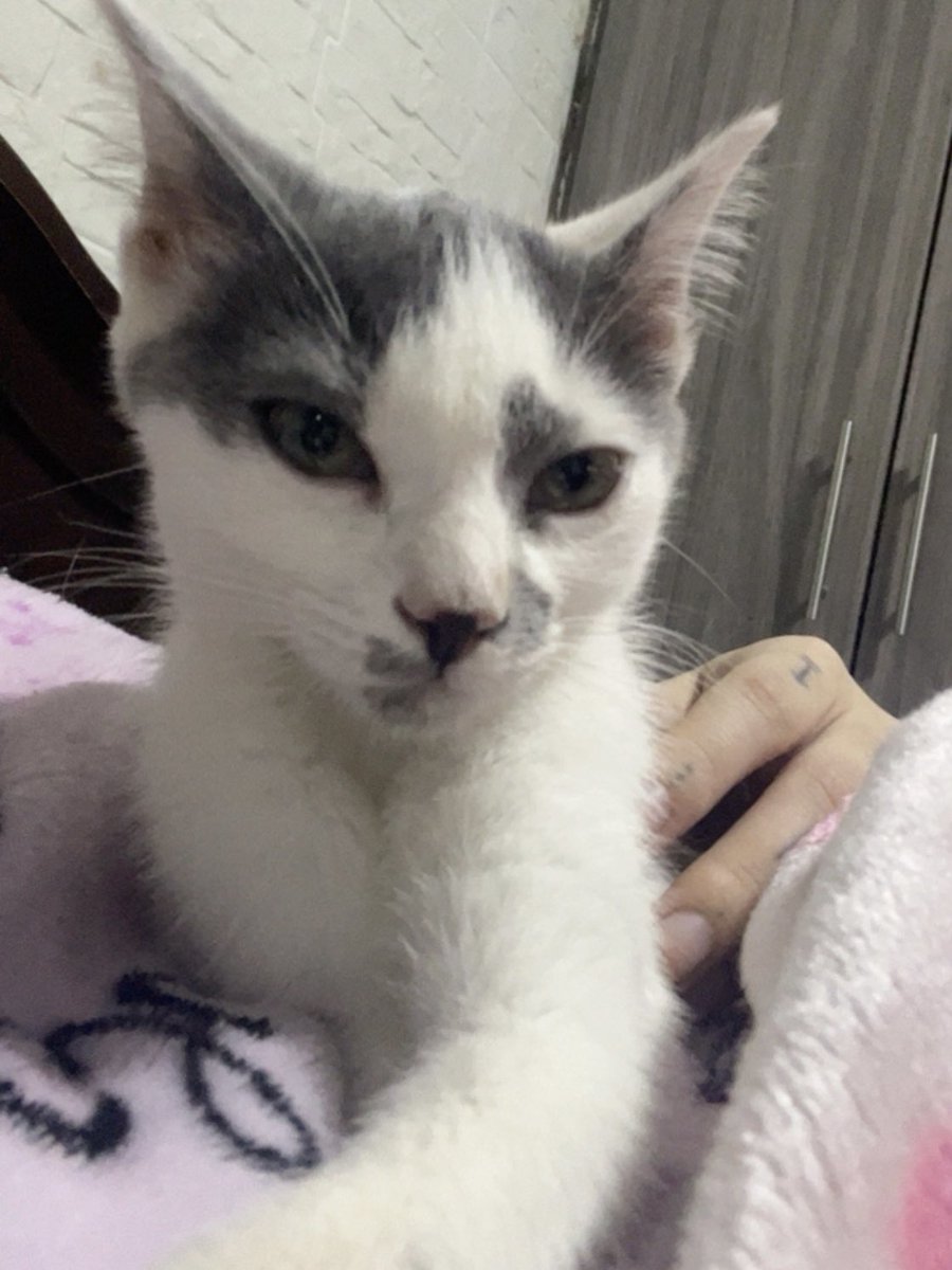 Gumilyn 🫧 tweet media