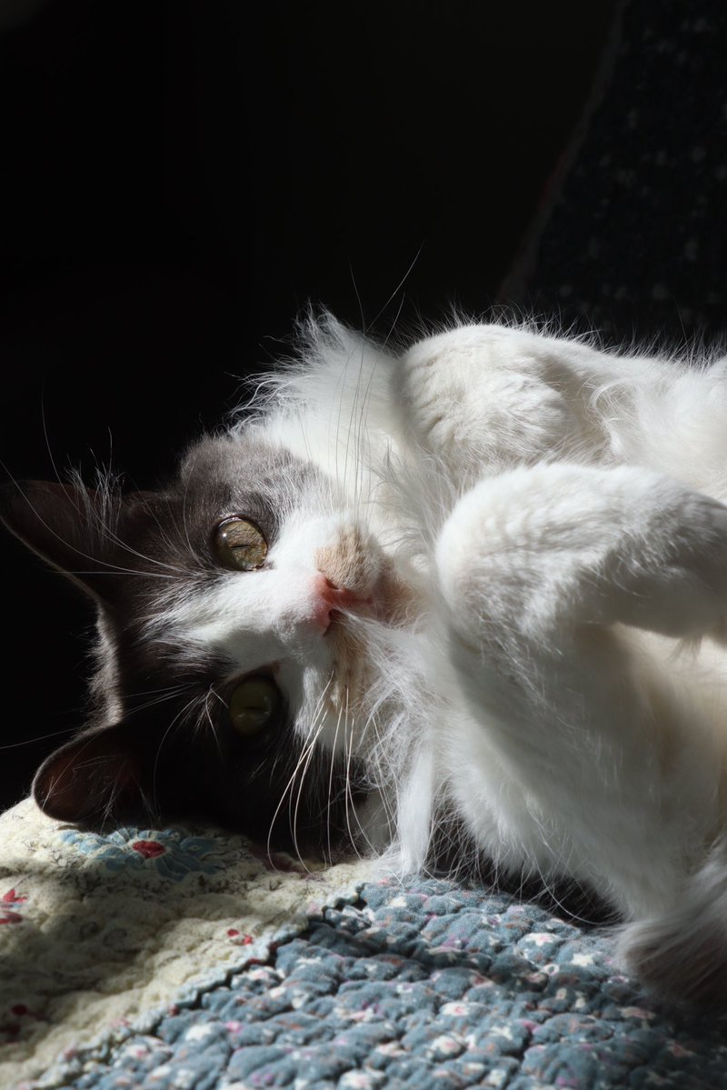 autumn ψ tweet media