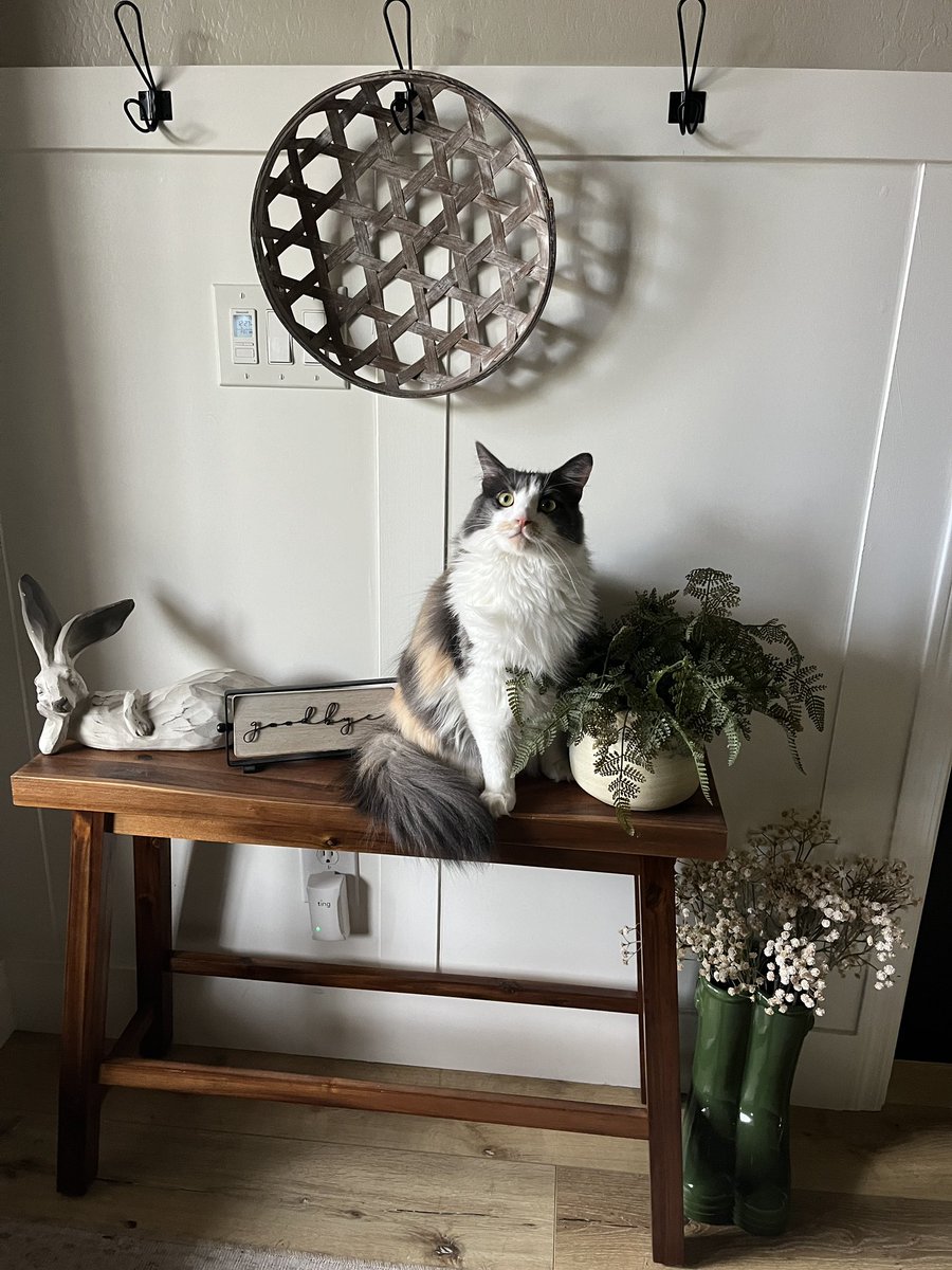 autumn ψ tweet media