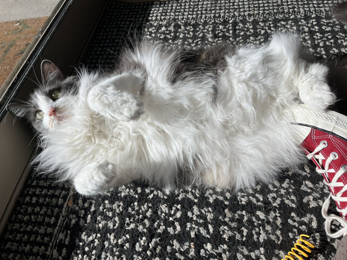 autumn ψ tweet media