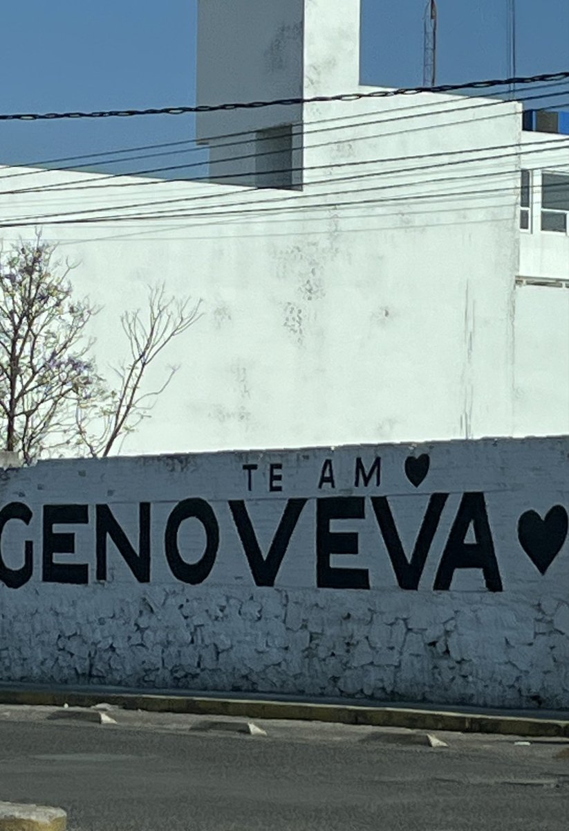 Pao ☀️ tweet media