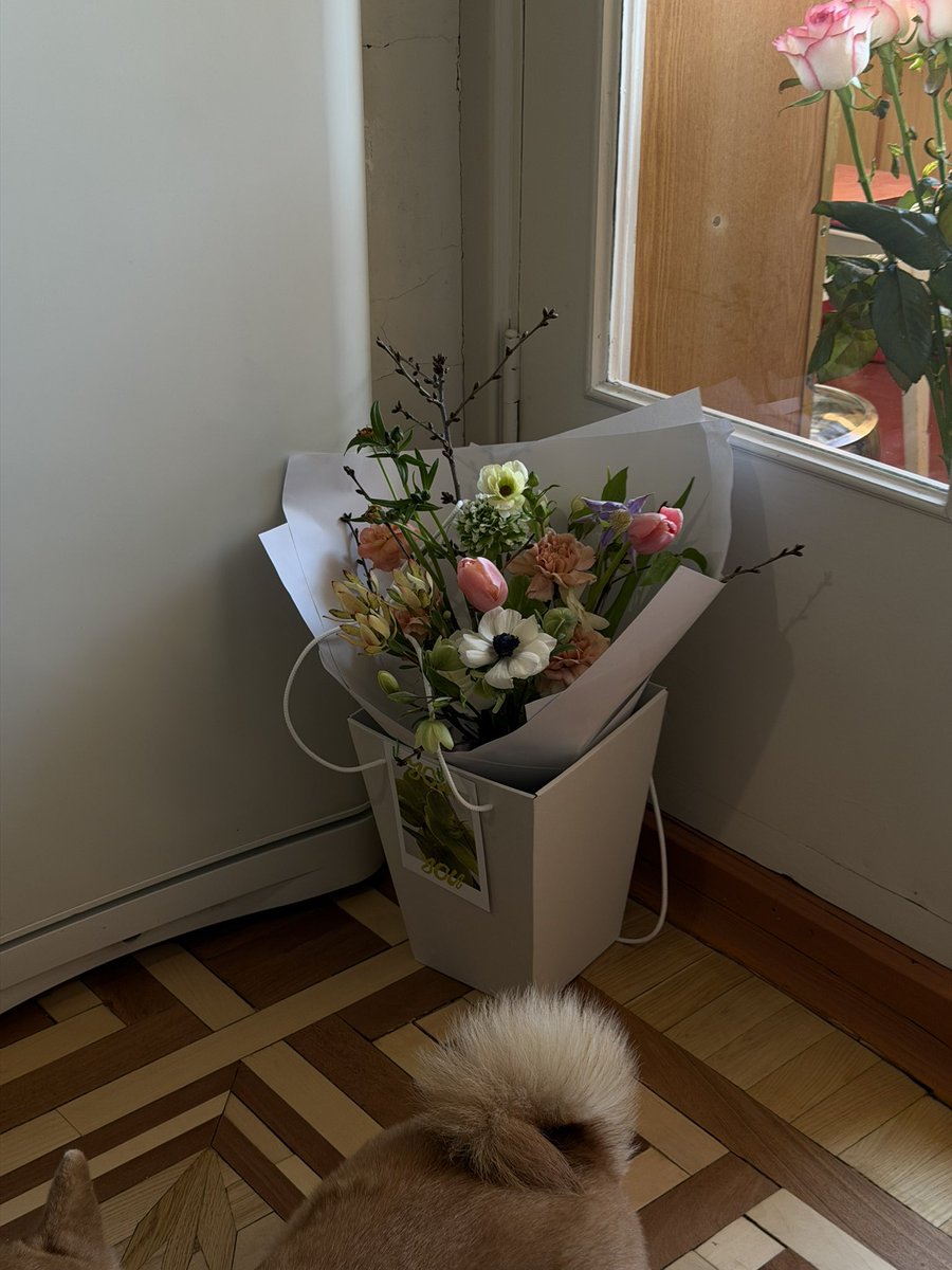 наталя tweet media