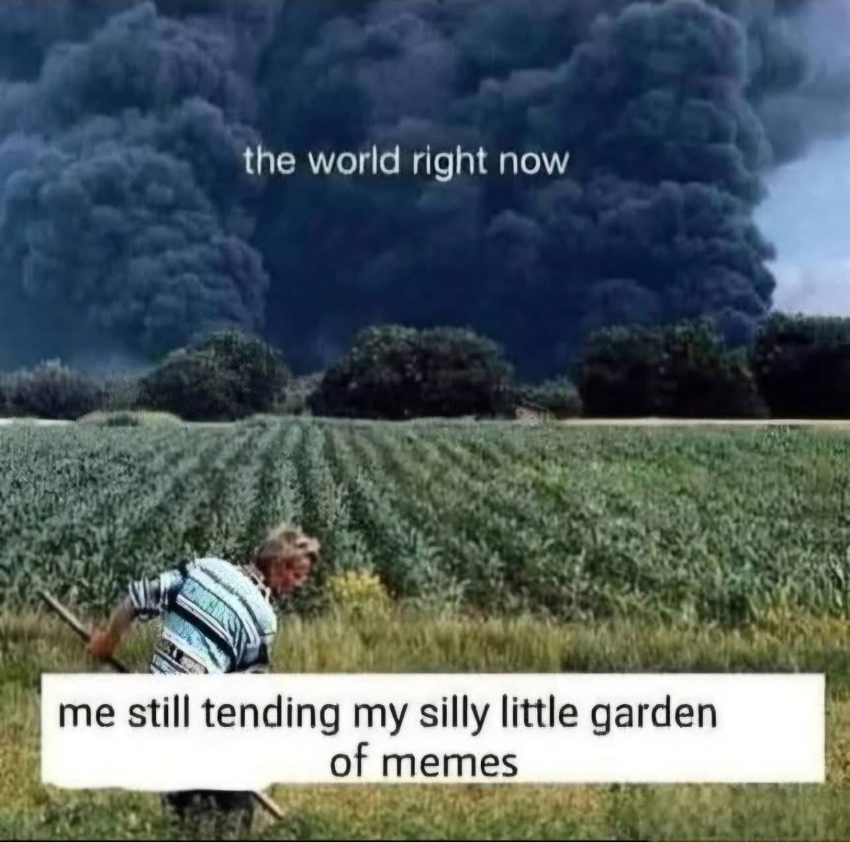 Heathen King tweet media