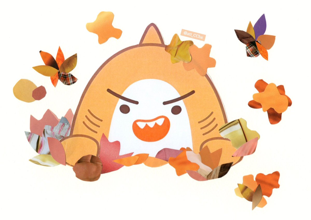 엇챠💪🏻 tweet media