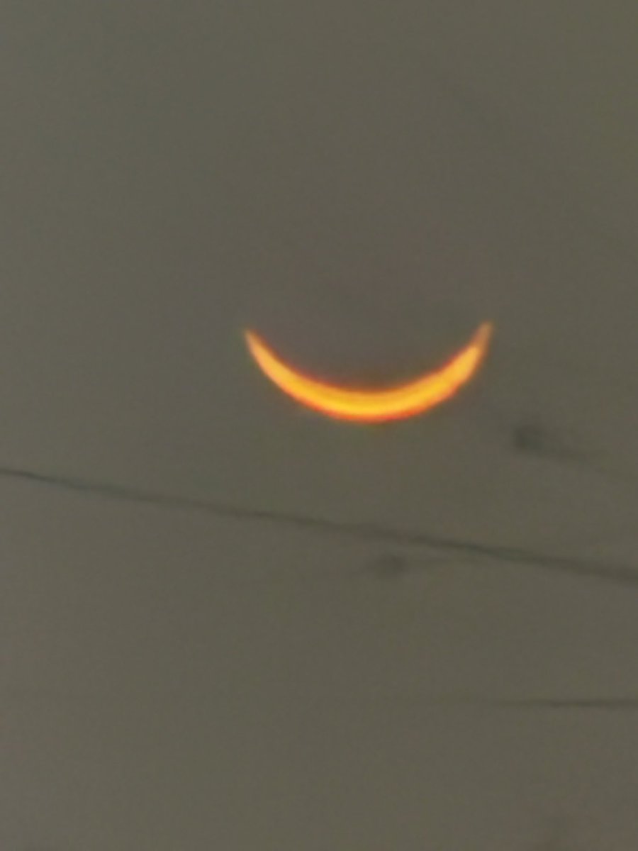 MANON（辻村麻乃） tweet media