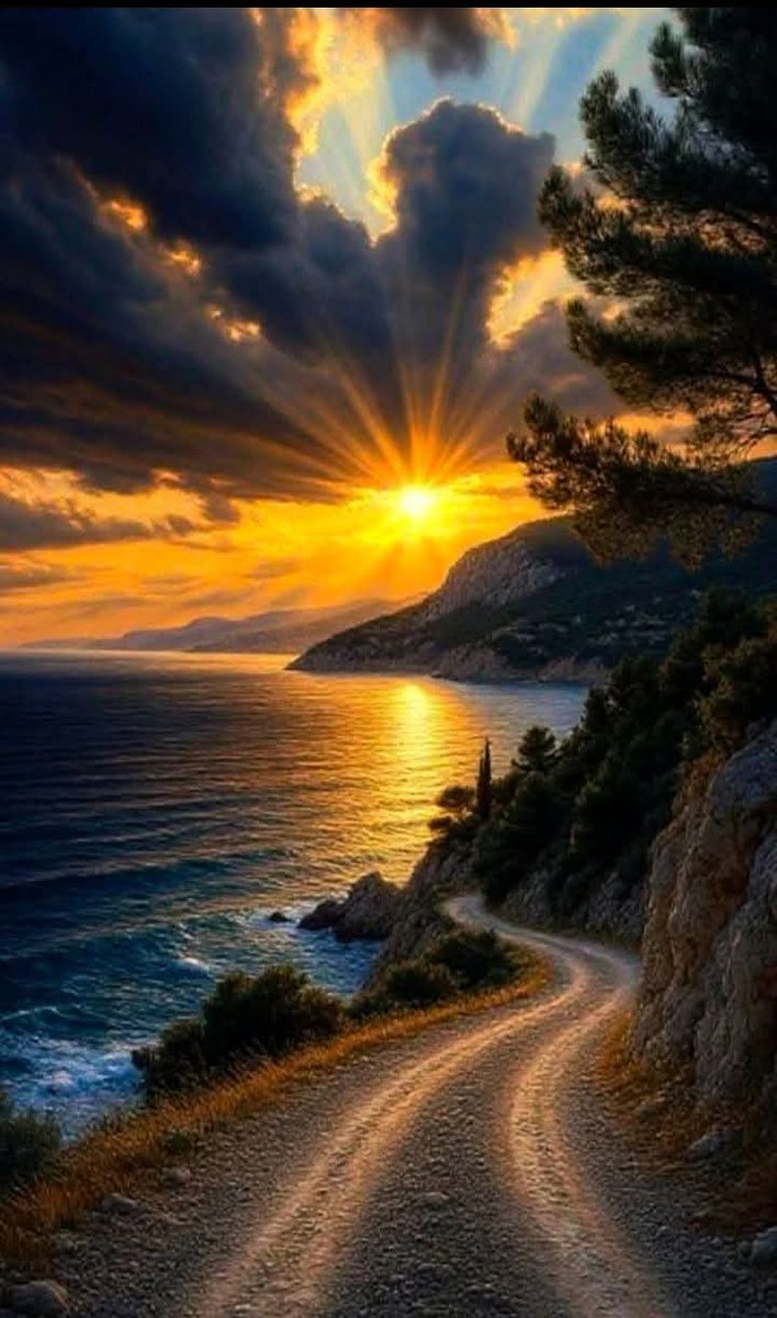 THE MAN WHO DARES tweet media