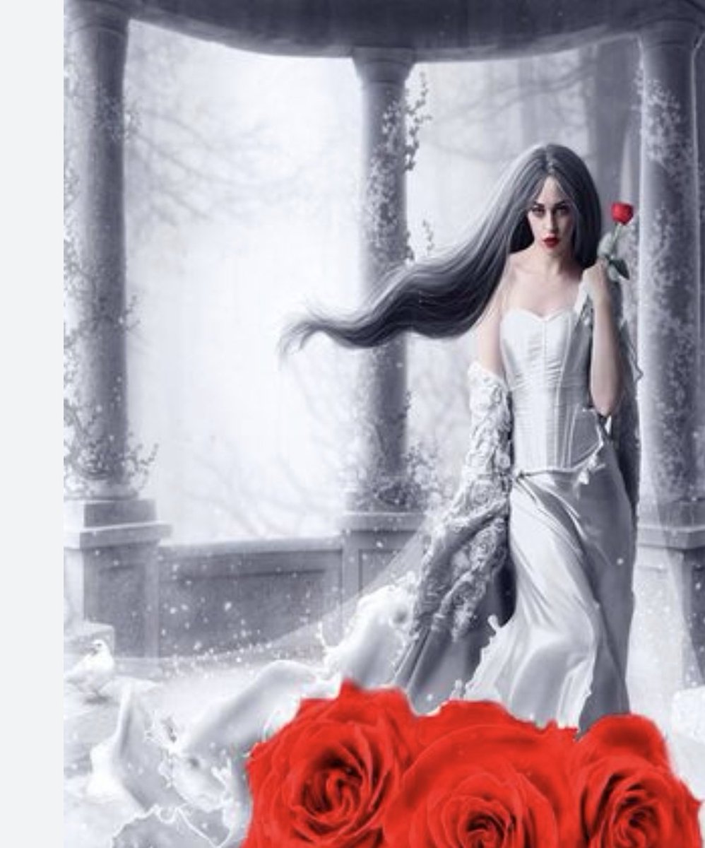 بداية ‏حـــرّفْ ♡ tweet media