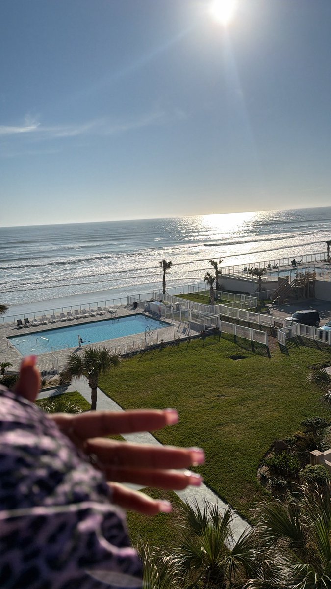 Money Organized Business tweet media