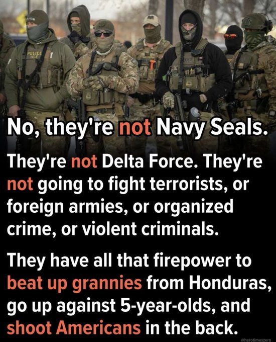 MICHAEL DOLLAR tweet media