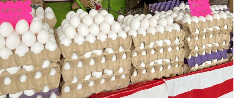 Crisis económica en hogares y pequeños comercios por bajo consumo de huevo
Comerciantes señalan que la falta de liquidez en la población, más que el precio del producto, ha reducido las ventas
elheraldoslp.com.mx/new/2026/03/20…