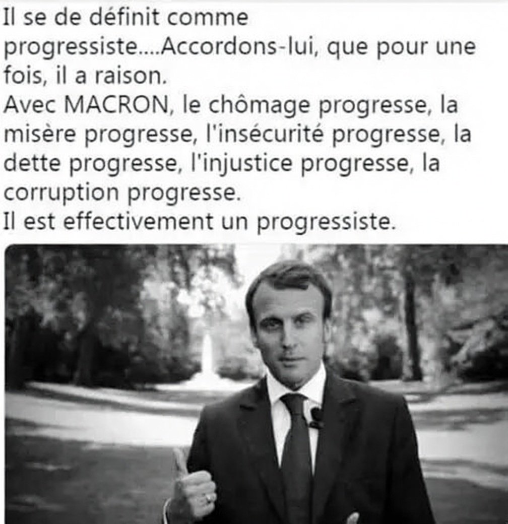 Noëlie la Lupa tweet media