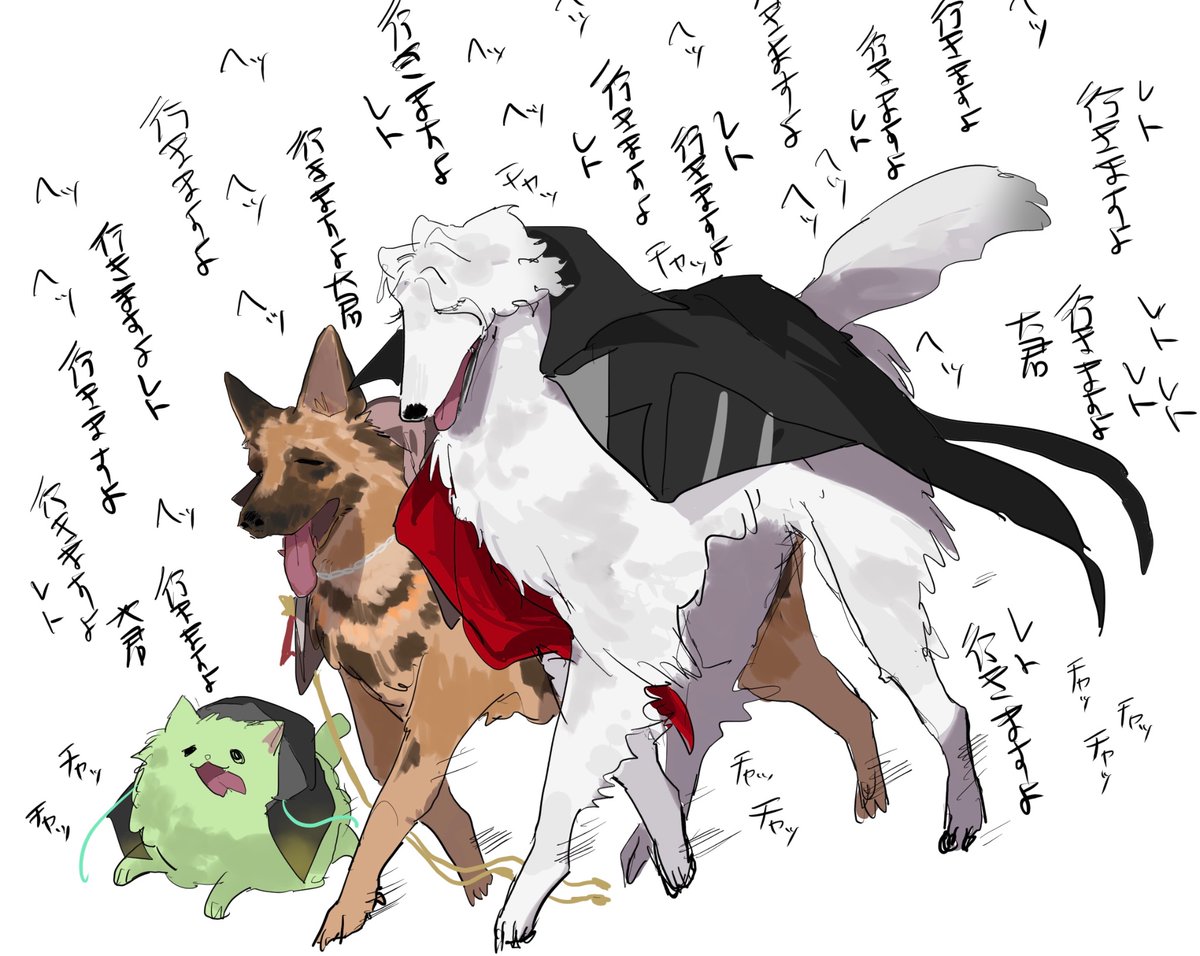 犬のドゥカレト