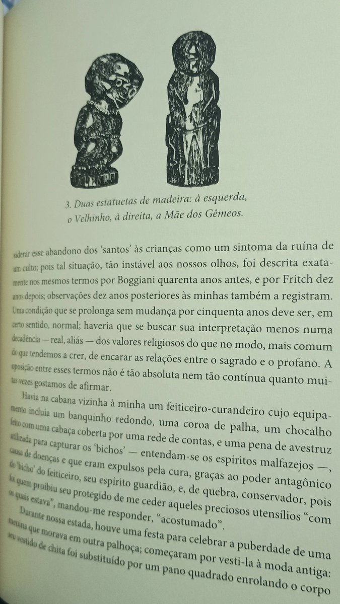 nico 🇵🇸 tweet media