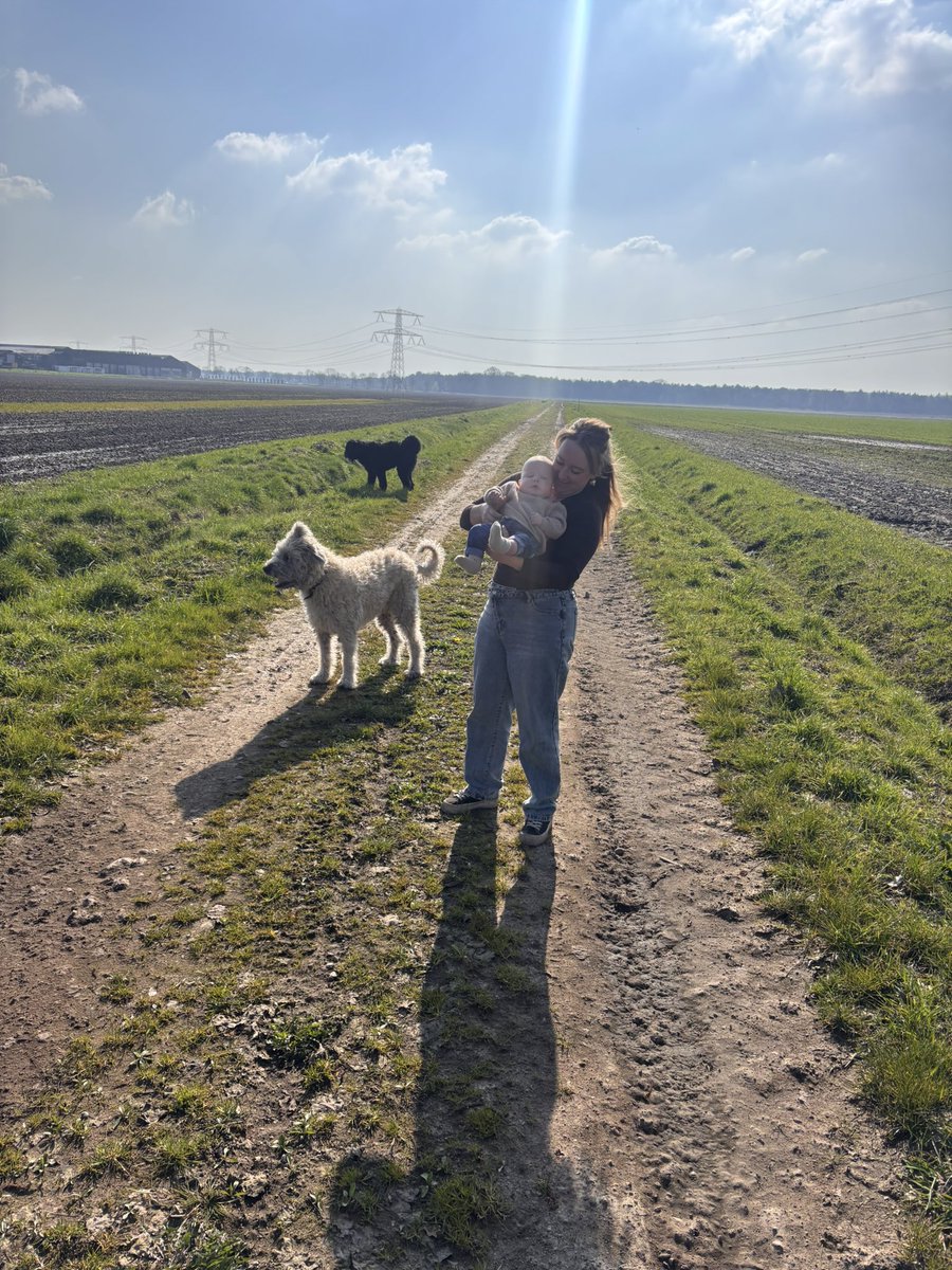 Stijn Derks tweet media