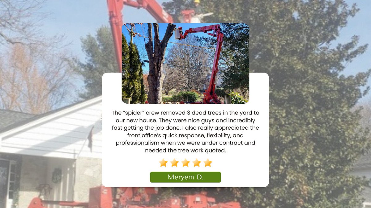 Stein Tree Service tweet media