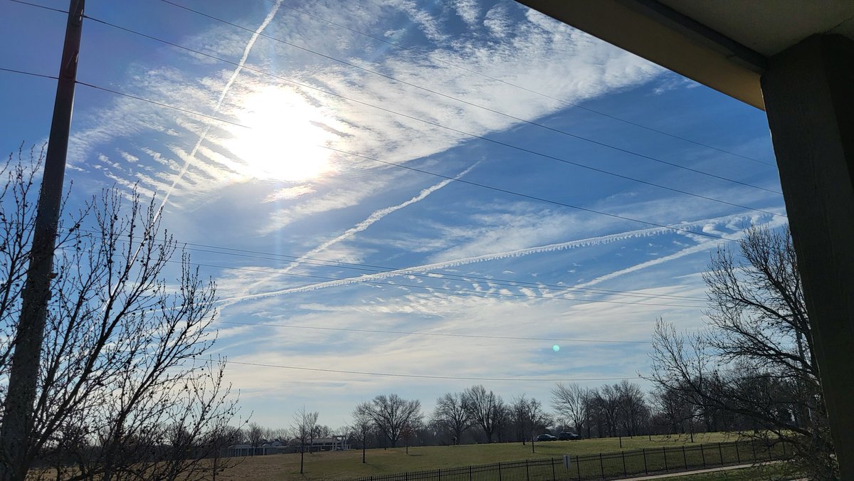 Cory Collins🇺🇲 tweet media