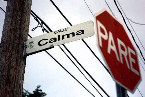 Francisco Manuel Andante García 🇵🇷 tweet media