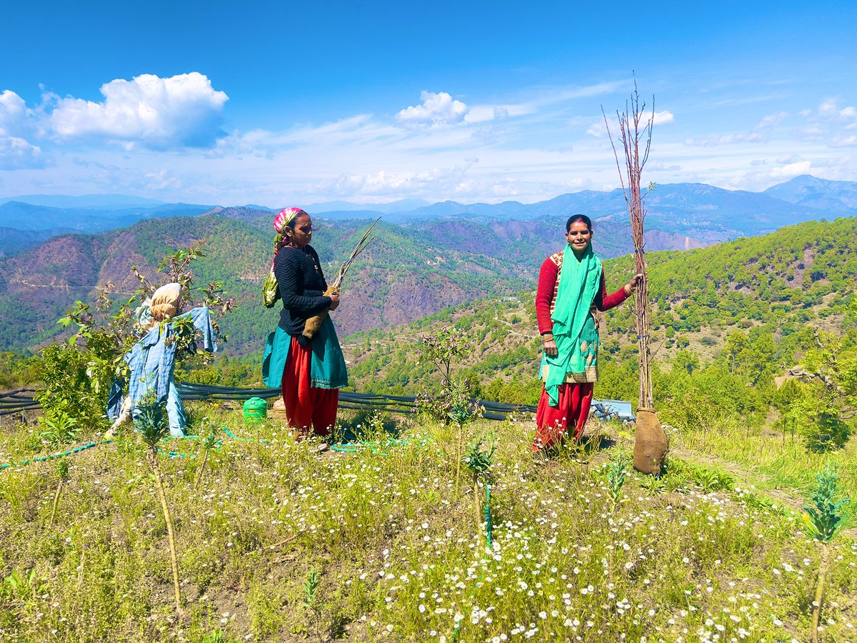 Alka Joshi Kaushik tweet media