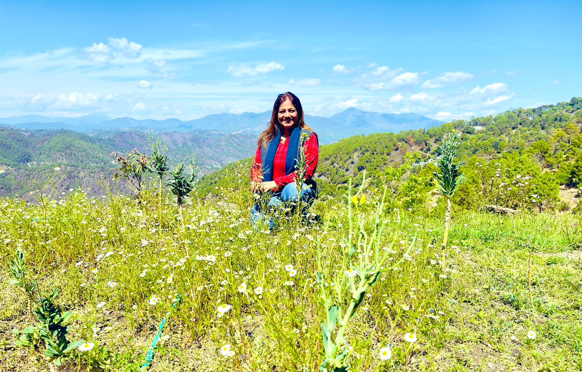 Alka Joshi Kaushik tweet media