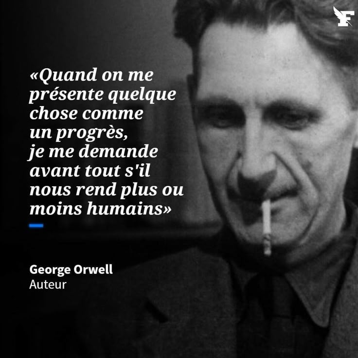 PBE 🦔🌳🐤🐾 tweet media