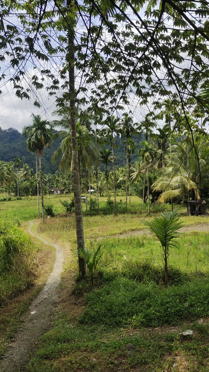 Math Agung tweet media