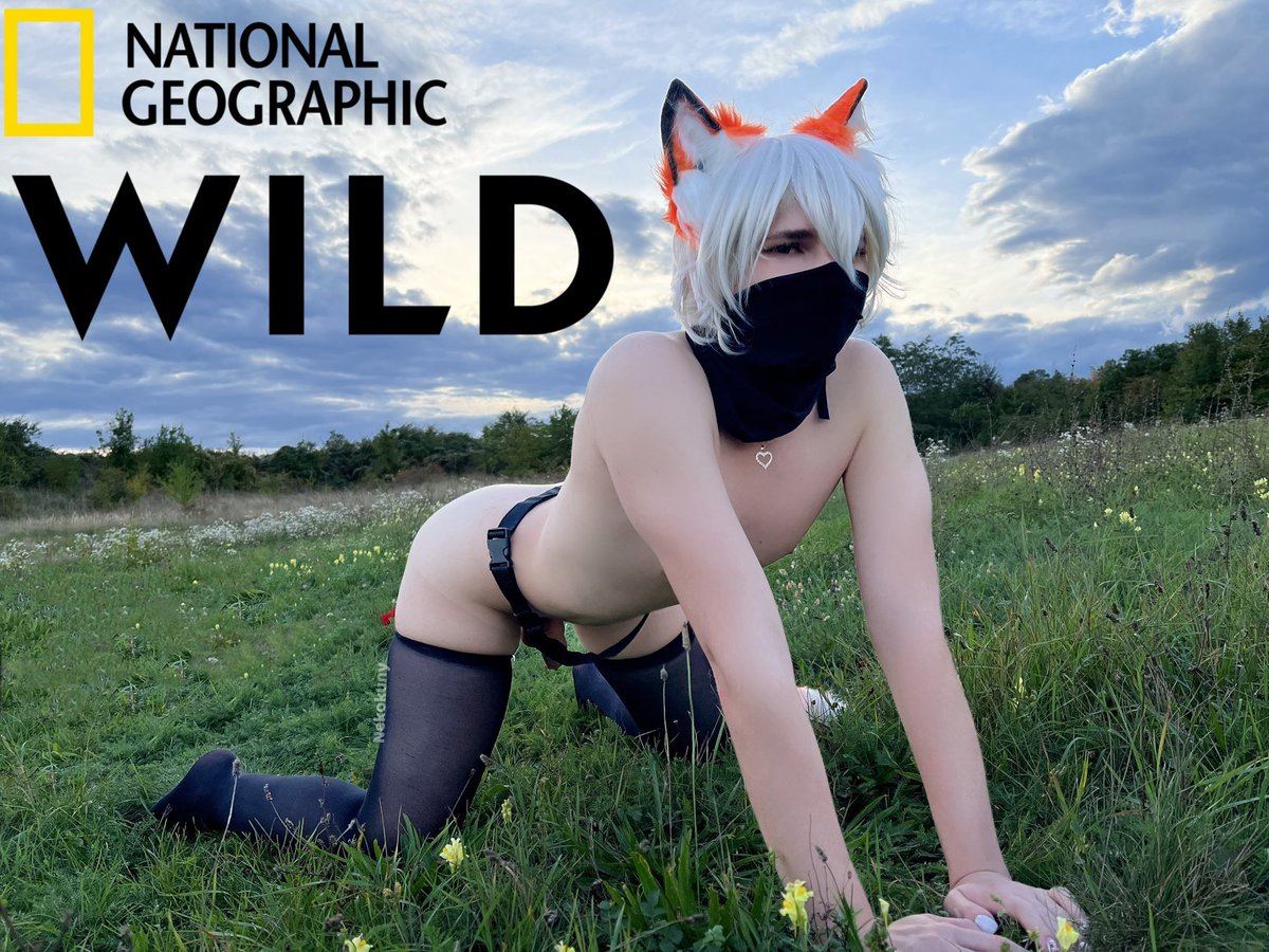 Neko Kuny ˚ʚ♡ɞ˚ Your FemBoy tweet media