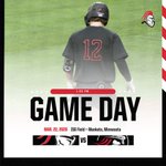 Photo by Martin Luther College Baseball (@MLCBSBL)