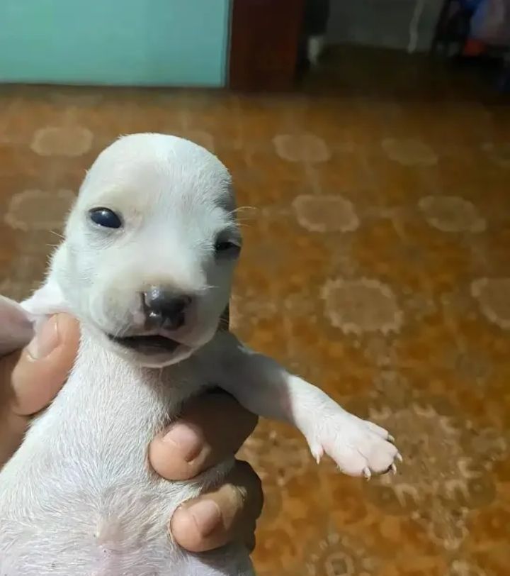 🔥Blaze🔥 tweet media