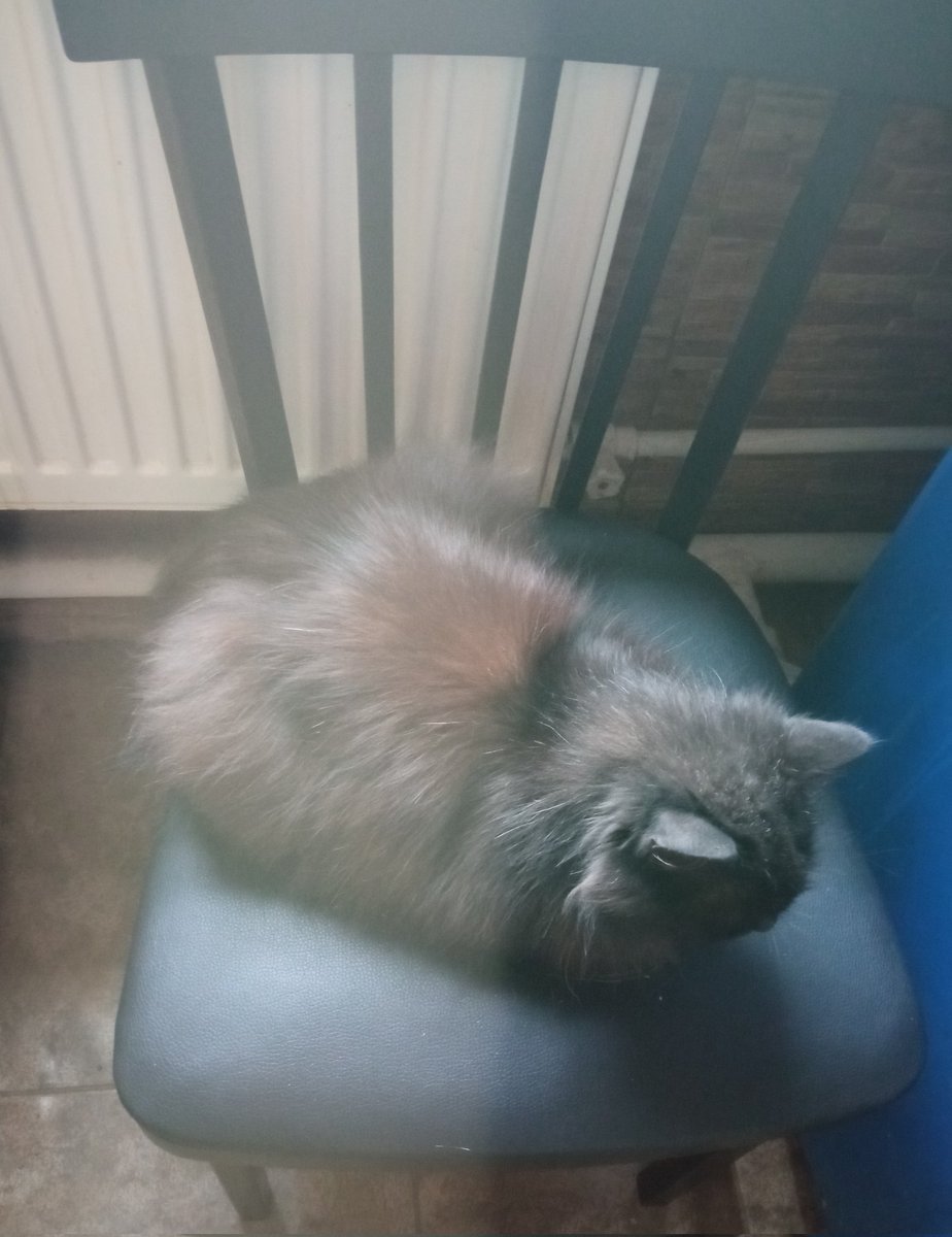 Алексей Толстый tweet media