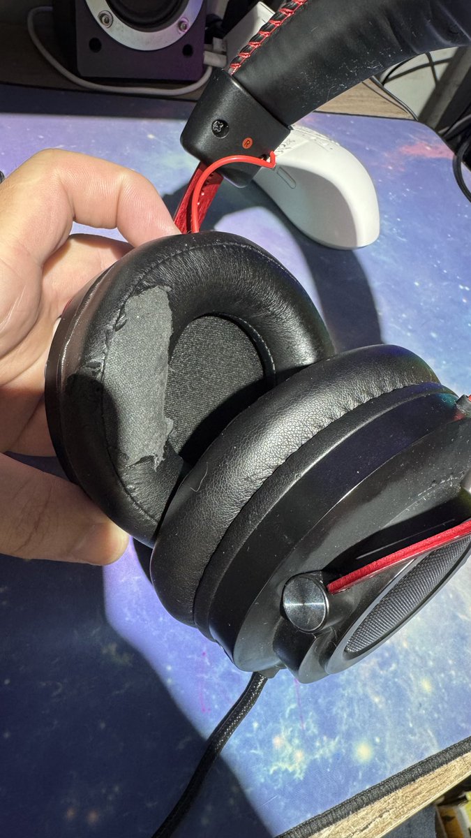 Pedro Netto tweet media