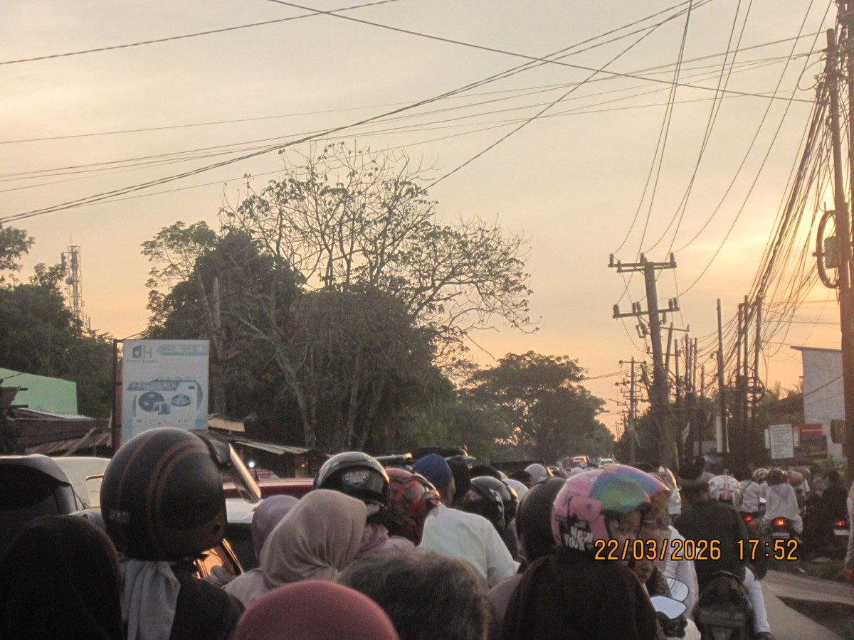 🆕️elize! tweet media