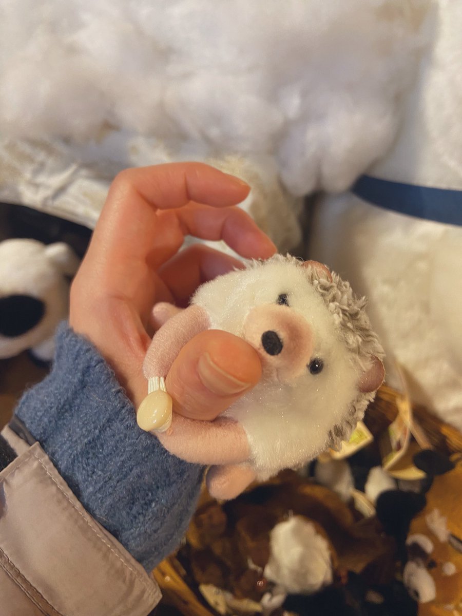 먹묵이 tweet media