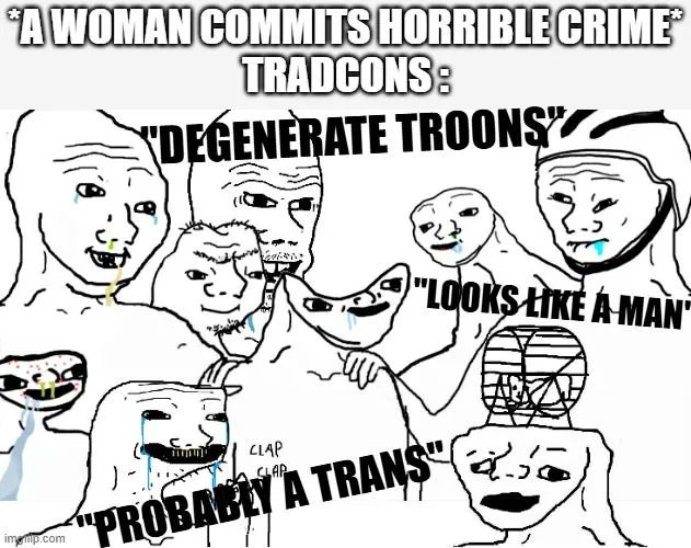 homonationalist antinationalist tweet media