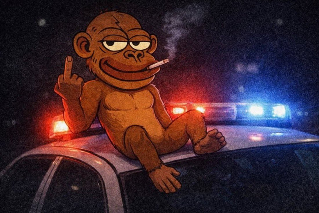 KingOzzy tweet media