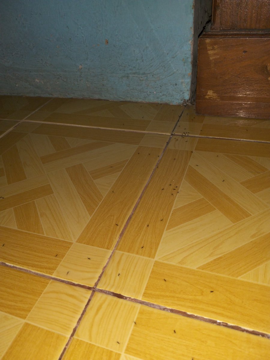 ᶠᴸᵒ❀ tweet media