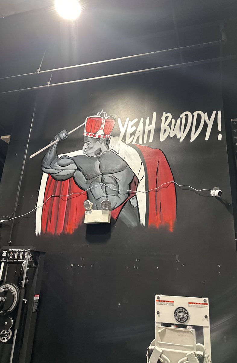 Nuclear Armed Hogs tweet media